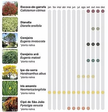 Isométrica Norte